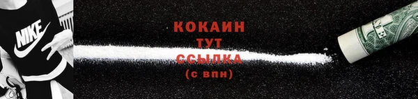 соль ск Верхний Тагил